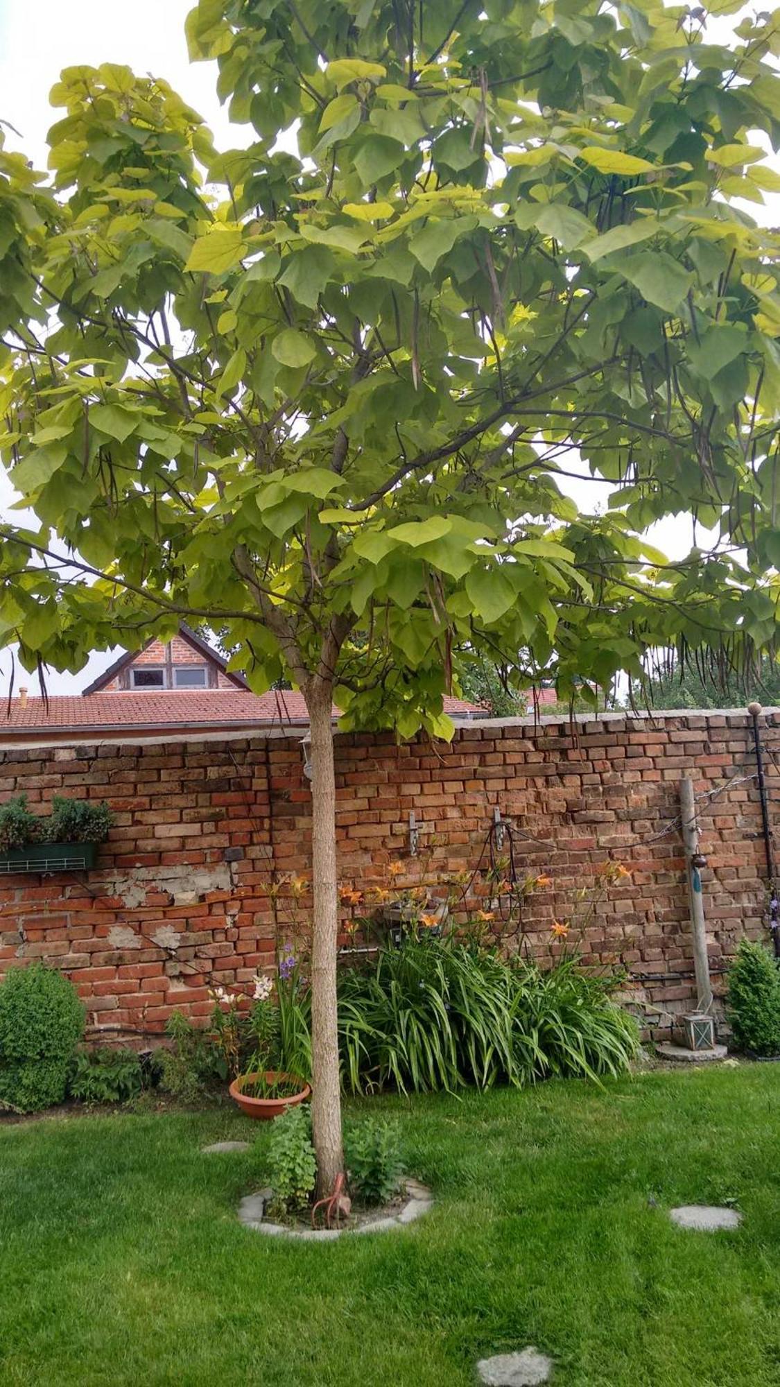 Ferienwohnungen Haus Leonore Stendal Exterior foto